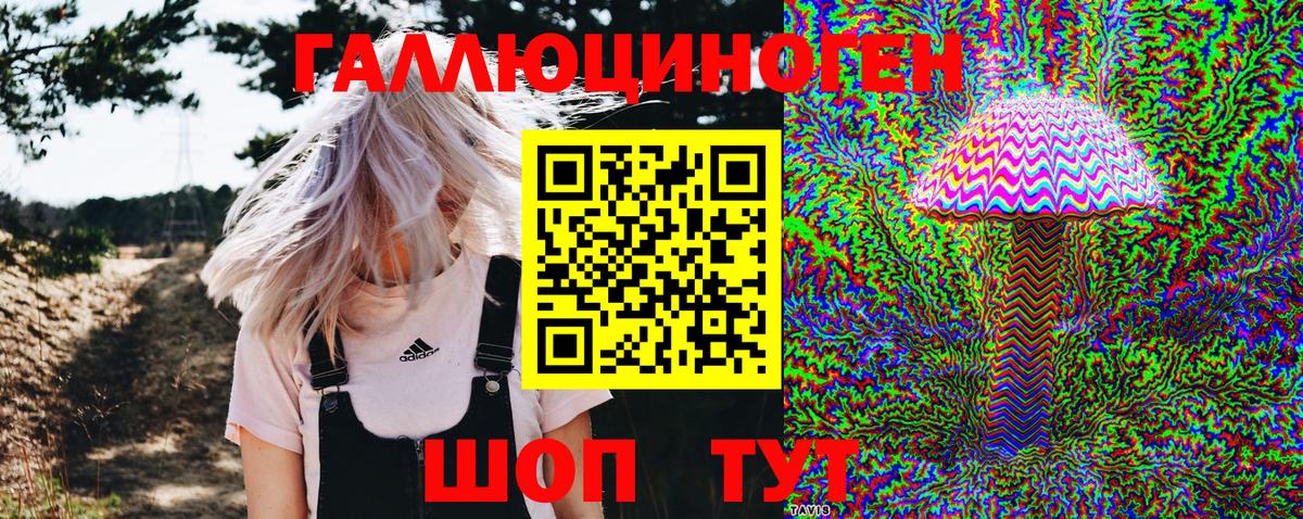 Галлюциногенные грибы GOLDEN TEACHER  Вход с VPN  Псилоцибиновые грибы Psilocybine cubensis  где купить наркоту  Кызыл 